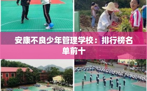 安康不良少年管理学校：排行榜名单前十