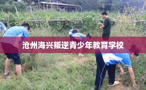 沧州海兴叛逆青少年教育学校 沧州海兴叛逆青少年教育学校
