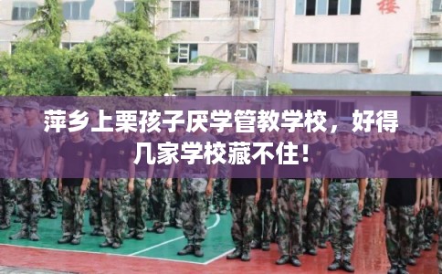萍乡上栗孩子厌学管教学校，好得几家学校藏不住！