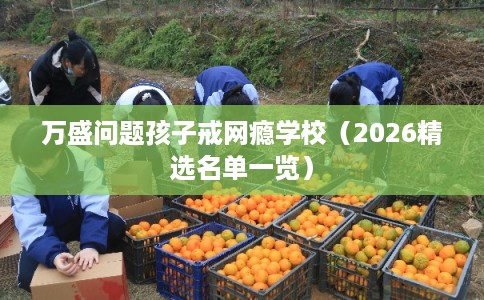 万盛问题孩子戒网瘾学校（2026精选名单一览）