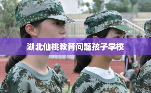 湖北仙桃教育问题孩子学校