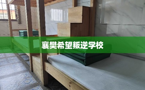 襄樊希望叛逆学校
