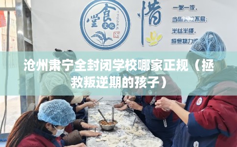 沧州肃宁全封闭学校哪家正规（拯救叛逆期的孩子）