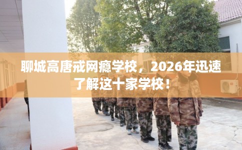 聊城高唐戒网瘾学校，2026年迅速了解这十家学校！