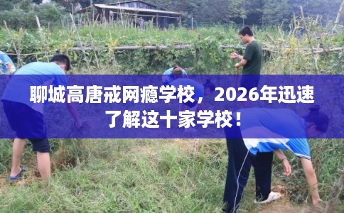 聊城高唐戒网瘾学校，2026年迅速了解这十家学校！