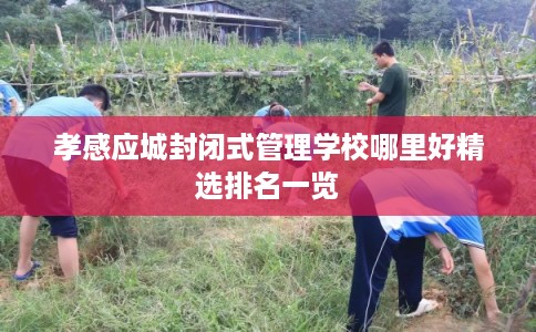 孝感应城封闭式管理学校哪里好精选排名一览 孝感应城封闭式管理学校哪里好精选排名一览