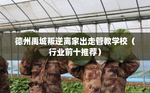 德州禹城叛逆离家出走管教学校（行业前十推荐）