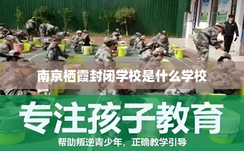 南京栖霞封闭学校是什么学校