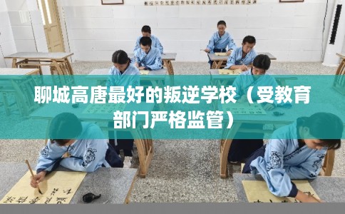 聊城高唐最好的叛逆学校（受教育部门严格监管）