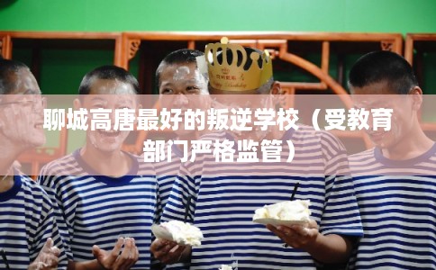 聊城高唐最好的叛逆学校（受教育部门严格监管）