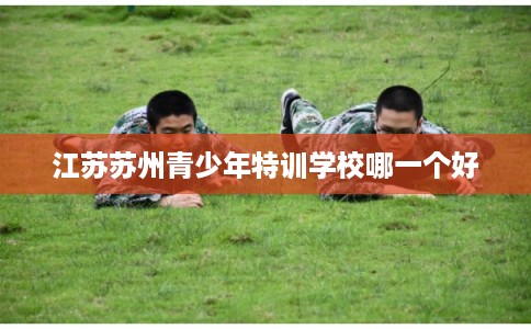 江苏苏州青少年特训学校哪一个好