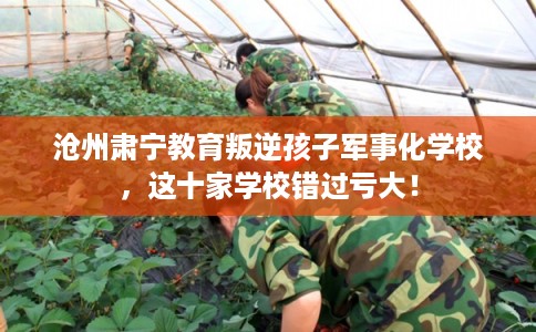 沧州肃宁教育叛逆孩子军事化学校，这十家学校错过亏大！