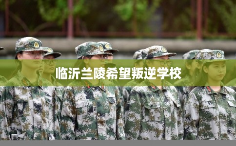 临沂兰陵希望叛逆学校