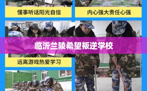 临沂兰陵希望叛逆学校