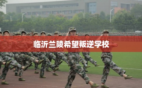临沂兰陵希望叛逆学校