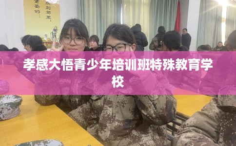 孝感大悟青少年培训班特殊教育学校