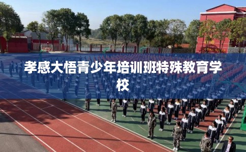 孝感大悟青少年培训班特殊教育学校