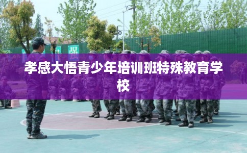 孝感大悟青少年培训班特殊教育学校