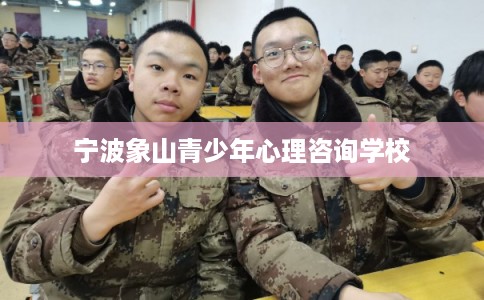 宁波象山青少年心理咨询学校