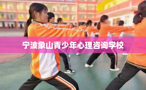 宁波象山青少年心理咨询学校