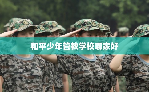 和平少年管教学校哪家好