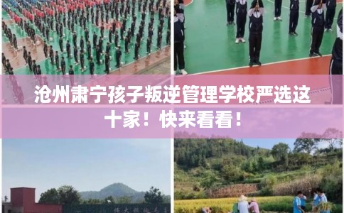 沧州肃宁孩子叛逆管理学校严选这十家！快来看看！