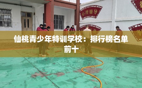仙桃青少年特训学校：排行榜名单前十