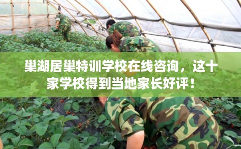 巢湖居巢特训学校在线咨询，这十家学校得到当地家长好评！