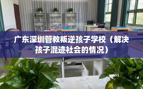 广东深圳管教叛逆孩子学校（解决孩子混迹社会的情况）