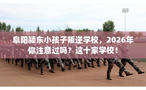 阜阳颍东小孩子叛逆学校，2026年你注意过吗？这十家学校！