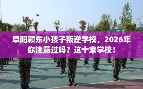 阜阳颍东小孩子叛逆学校，2026年你注意过吗？这十家学校！