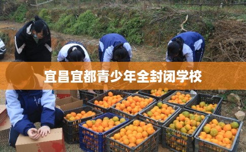 宜昌宜都青少年全封闭学校