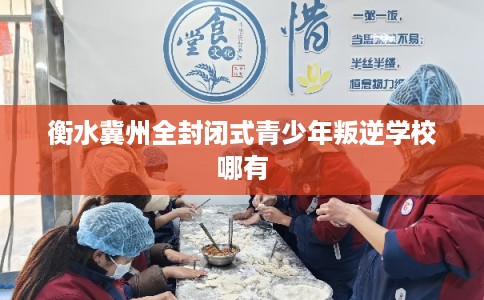 衡水冀州全封闭式青少年叛逆学校哪有