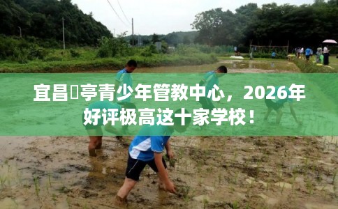 宜昌猇亭青少年管教中心，2026年好评极高这十家学校！