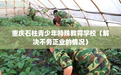 重庆石柱青少年特殊教育学校（解决不务正业的情况）