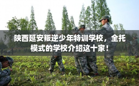 陕西延安叛逆少年特训学校，全托模式的学校介绍这十家！