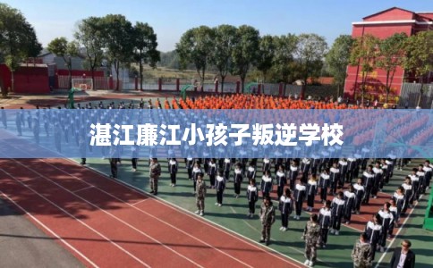 湛江廉江小孩子叛逆学校