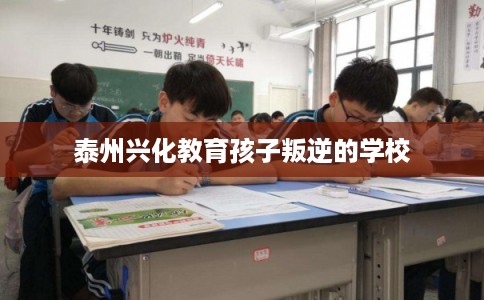 泰州兴化教育孩子叛逆的学校