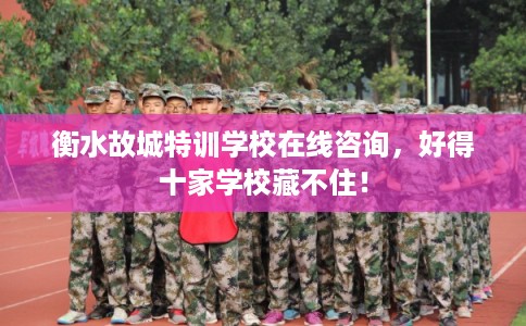 衡水故城特训学校在线咨询，好得十家学校藏不住！