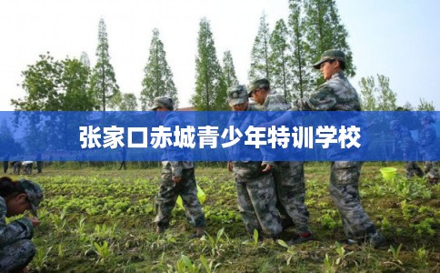 张家口赤城青少年特训学校