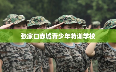 张家口赤城青少年特训学校