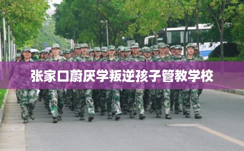 张家口蔚厌学叛逆孩子管教学校