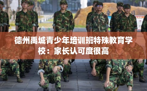 德州禹城青少年培训班特殊教育学校：家长认可度很高