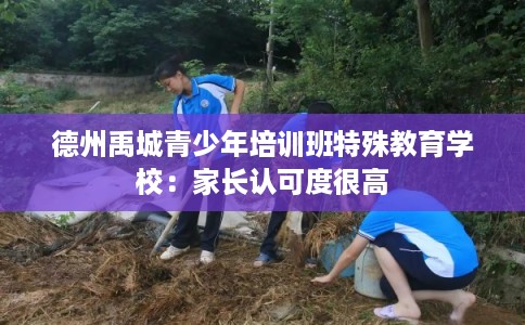 德州禹城青少年培训班特殊教育学校：家长认可度很高