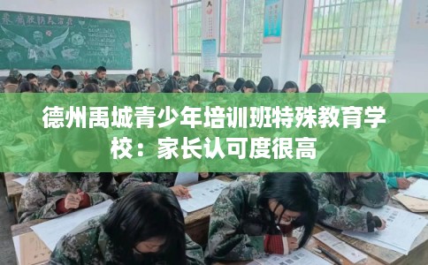 德州禹城青少年培训班特殊教育学校：家长认可度很高
