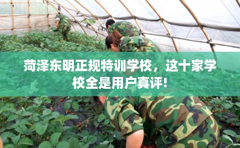 菏泽东明正规特训学校，这十家学校全是用户真评!