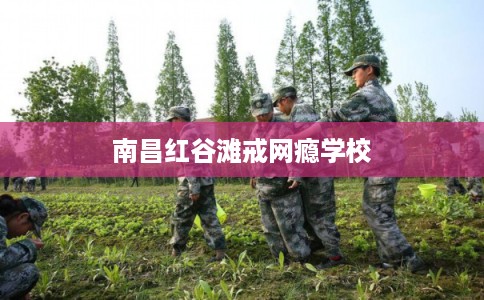 南昌红谷滩戒网瘾学校