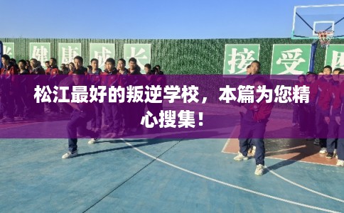 松江最好的叛逆学校，本篇为您精心搜集！