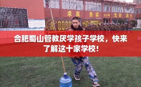 合肥蜀山管教厌学孩子学校，快来了解这十家学校!