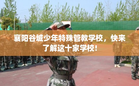 襄阳谷城少年特殊管教学校，快来了解这十家学校!